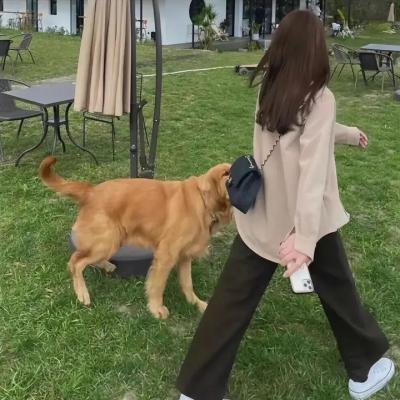 妈妈的男朋友